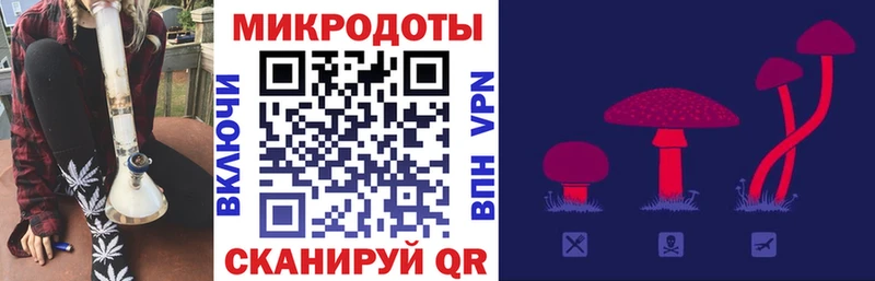 кракен маркетплейс Отрадное Галлюциногенные грибы Psilocybine cubensis как найти наркотики